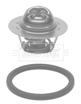 Thermostat, coolant (BTS583.75)