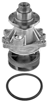 Water Pump, engine cooling (BWP1588)