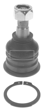 Ball Joint (BBJ5494)