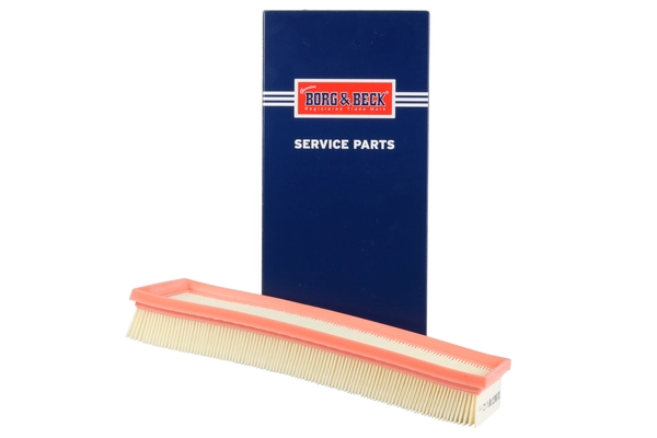 Air Filter (BFA2432)