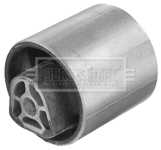 Mounting, control/trailing arm (BSK8062)