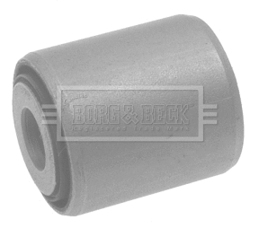 Mounting, control/trailing arm (BSK7586)