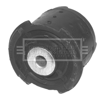Mounting, control/trailing arm (BSK6607)