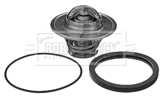 Thermostat, coolant (BBT362)