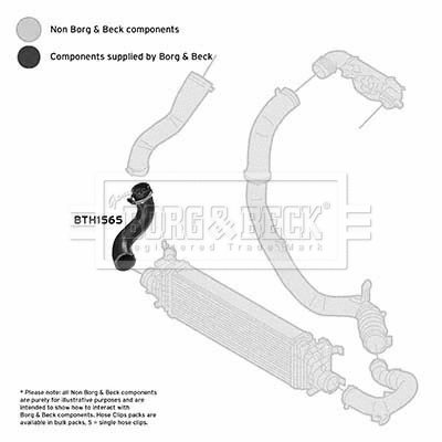 Charge Air Hose (BTH1565)
