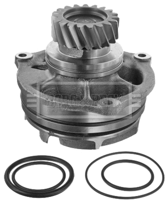 Water Pump, engine cooling (BWP32718)