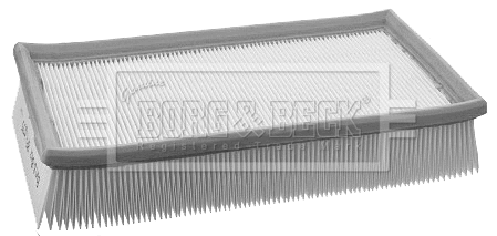 Air Filter (BFA2155)