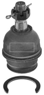 Ball Joint (BBJ5736)