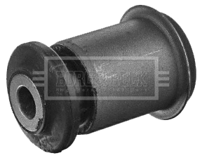 Mounting, control/trailing arm (BSK7901)