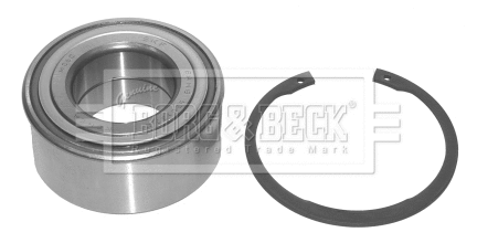 Wheel Bearing Kit (BWK870)