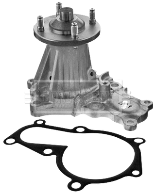Water Pump, engine cooling (BWP2116)