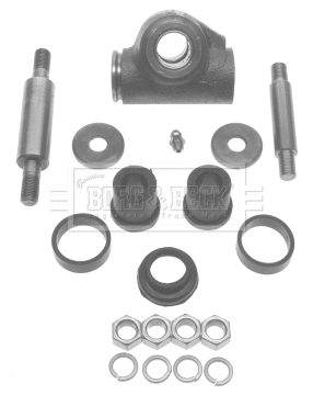 Repair Kit, wheel suspension (BSK5901)