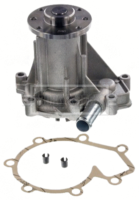 Water Pump, engine cooling (BWP2469)