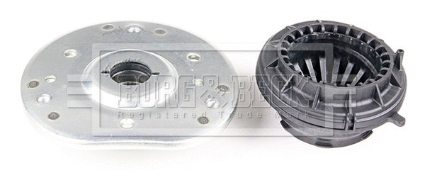 Suspension Strut Support Mount (BSM5549)