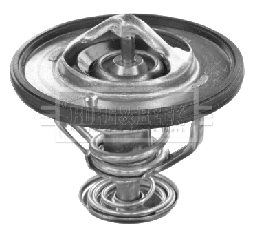 Thermostat, coolant (BBT466)