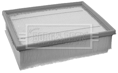 Air Filter (BFA2163)