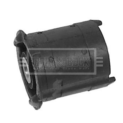 Bushing, axle bracket (BSM2001)