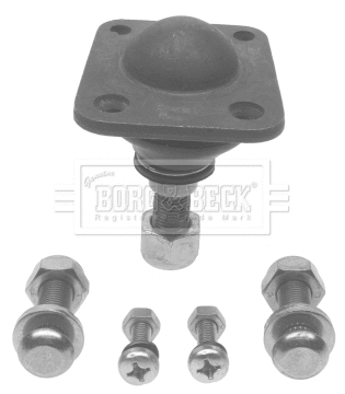 Ball Joint (BBJ5055)