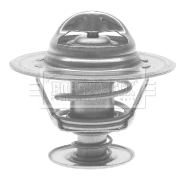Thermostat, coolant (BTS120.87)
