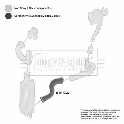 Charge Air Hose (BTH1237)