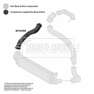 Charge Air Hose (BTH1295)