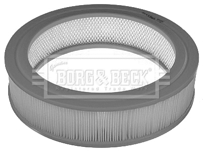 Air Filter (BFA2345)