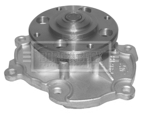 Water Pump, engine cooling (BWP2137)