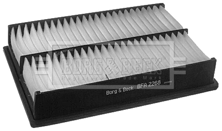 Air Filter (BFA2268)