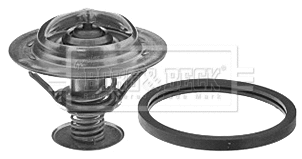 Thermostat, coolant (BBT223)