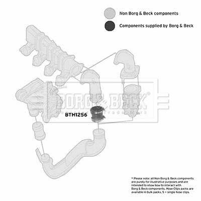 Charge Air Hose (BTH1256)