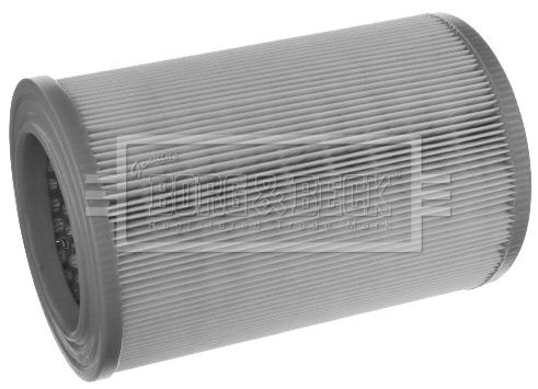 Air Filter (BFA2486)