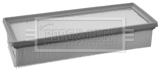 Air Filter (BFA2086)