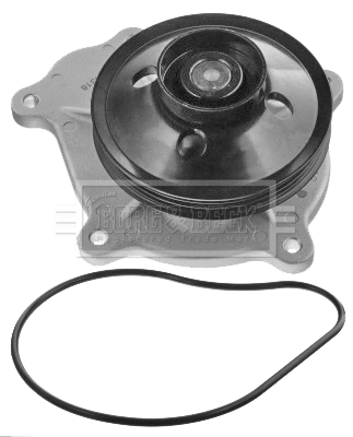 Water Pump, engine cooling (BWP2459)