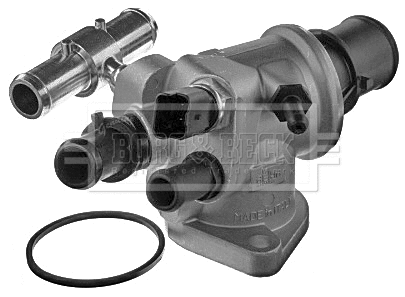 Thermostat, coolant (BBT209)