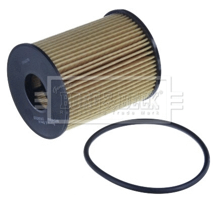 Oil Filter (BFO4266)