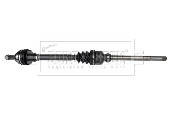 Drive Shaft (BDS1173)