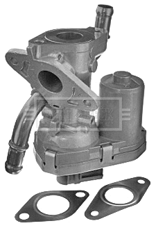 EGR Valve (BEV1001)