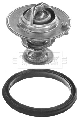 Thermostat, coolant (BBT469)