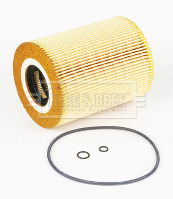 Oil Filter (BFO4253HD)