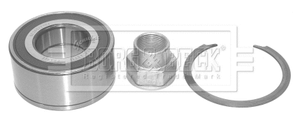 Wheel Bearing Kit (BWK737)