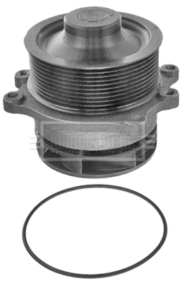 Water Pump, engine cooling (BWP32699)