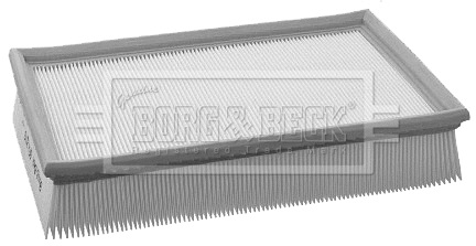 Air Filter (BFA2176)