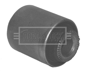 Mounting, control/trailing arm (BSK6869)