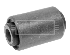 Mounting, control/trailing arm (BSK6945)