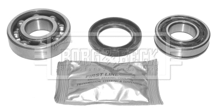 Wheel Bearing Kit (BWK262)