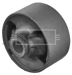 Mounting, control/trailing arm (BSK7969)