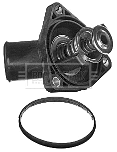Thermostat, coolant (BBT284)