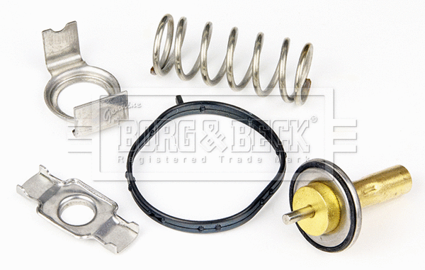 Thermostat, coolant (BBT550)
