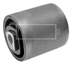 Mounting, control/trailing arm (BSK7488)