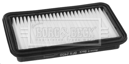Air Filter (BFA2450)